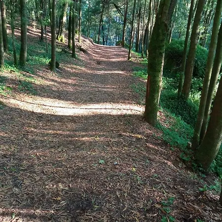 Appartement Fozdovez